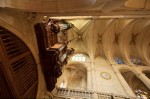photo No. IMG_3960